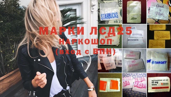 хмурый Белокуриха