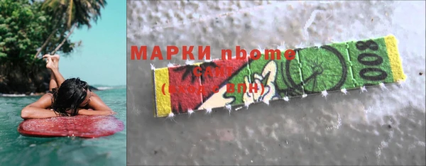 хмурый Белокуриха