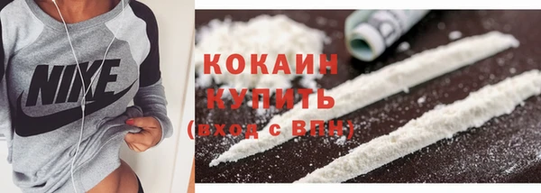 хмурый Белокуриха