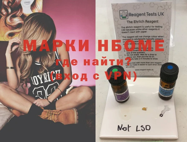 хмурый Белокуриха