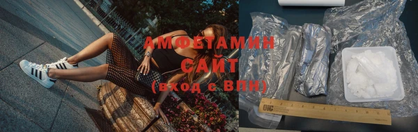 хмурый Белокуриха