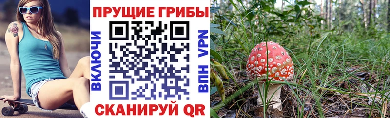 Галлюциногенные грибы мицелий  Купить  Ейск 
